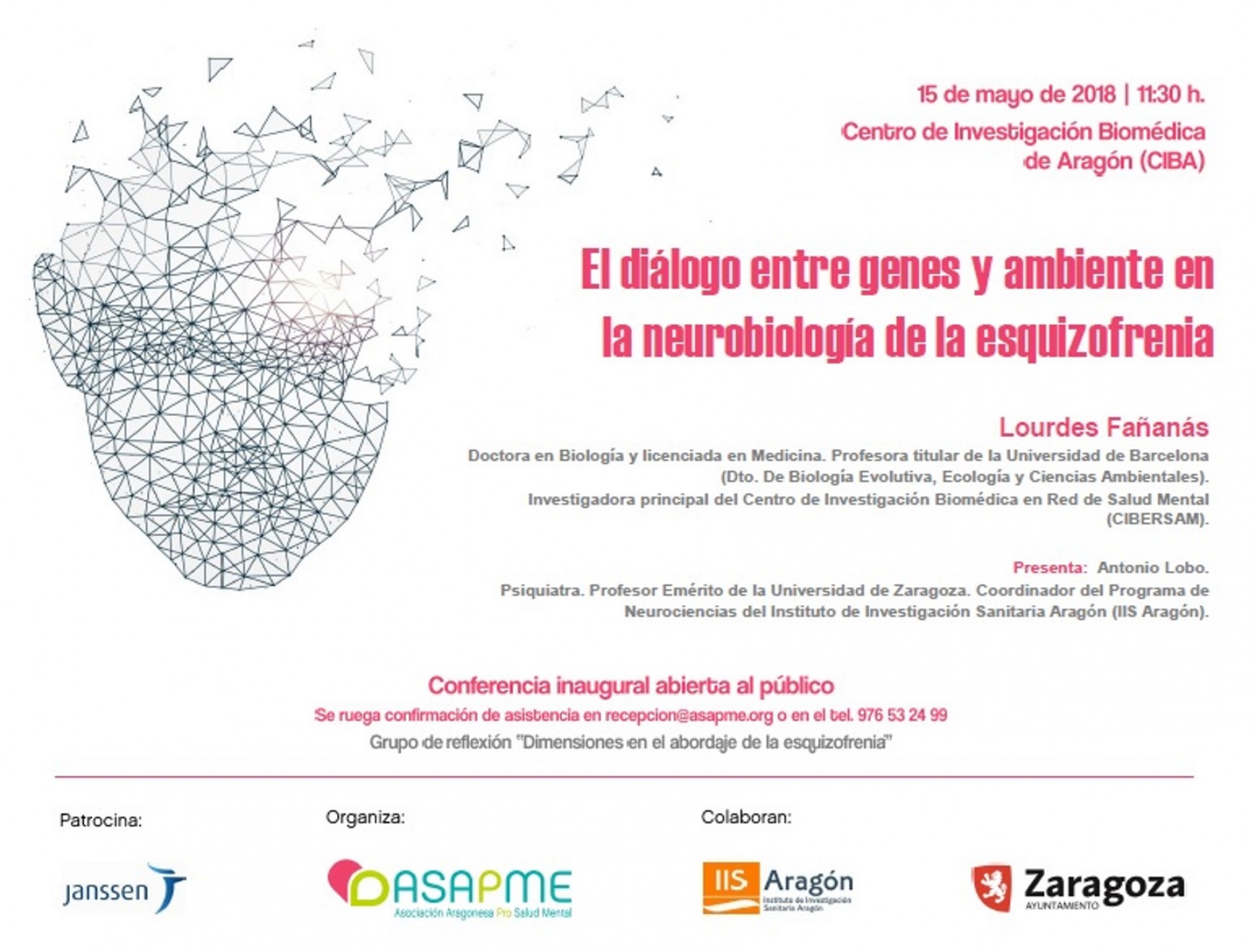 Zaragoza acoge la reunión del Grupo de Reflexión sobre el abordaje de la esquizofrenia